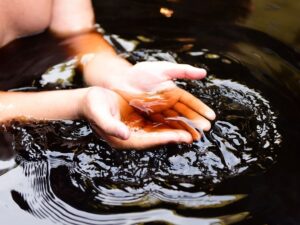 Black Onsen Kuroyu