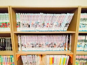 Manga shelf